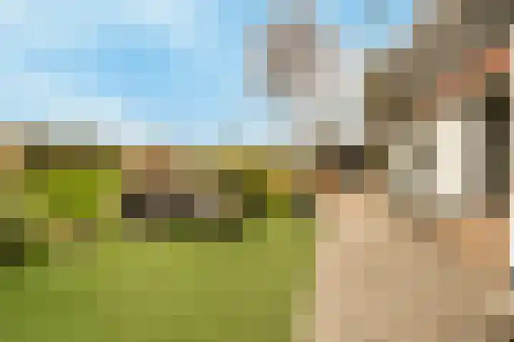 Bogerdlaan 8 Limmen thumbnail 45