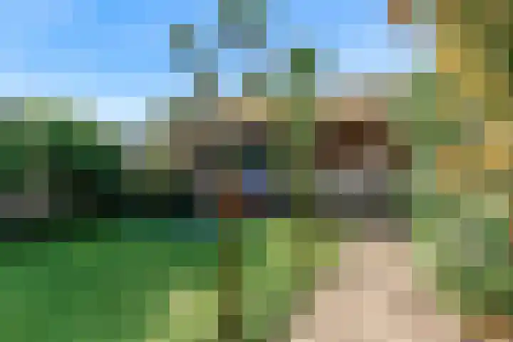 Bogerdlaan 8 Limmen thumbnail 46