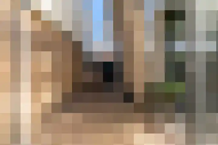 Bogerdlaan 8 Limmen thumbnail 47
