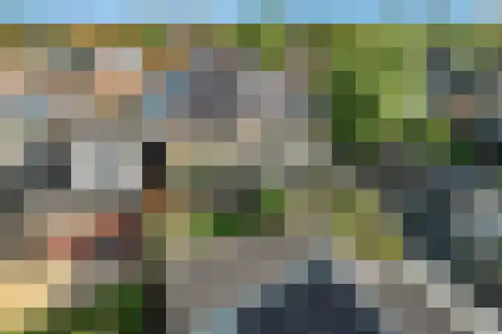 Bogerdlaan 8 Limmen thumbnail 52