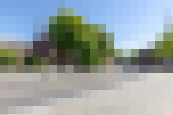 Bogerdstraat 94 Uden thumbnail 34