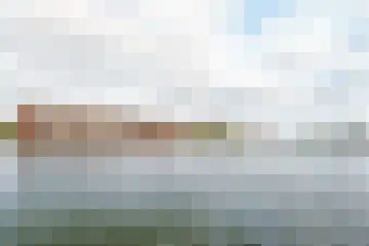 Bogortuin 143 Amsterdam