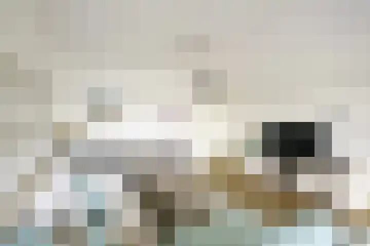 Bogortuin 143 Amsterdam thumbnail 11