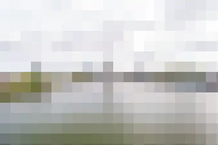 Bogortuin 143 Amsterdam thumbnail 17