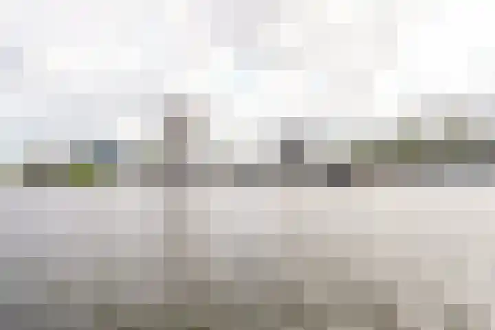 Bogortuin 143 Amsterdam thumbnail 27