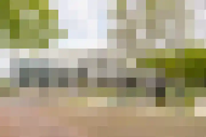 Bogortuin 143 Amsterdam thumbnail 29