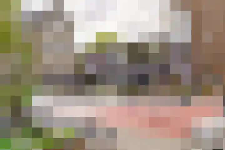 Bogortuin 143 Amsterdam thumbnail 31