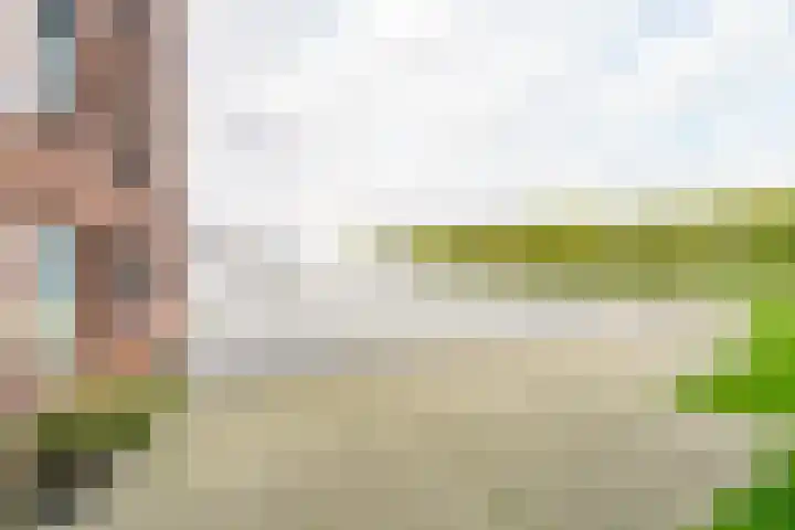 Bogortuin 143 Amsterdam thumbnail 7