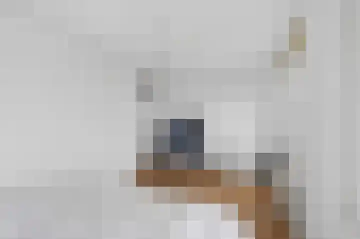 Bogortuin 52 Amsterdam thumbnail 35