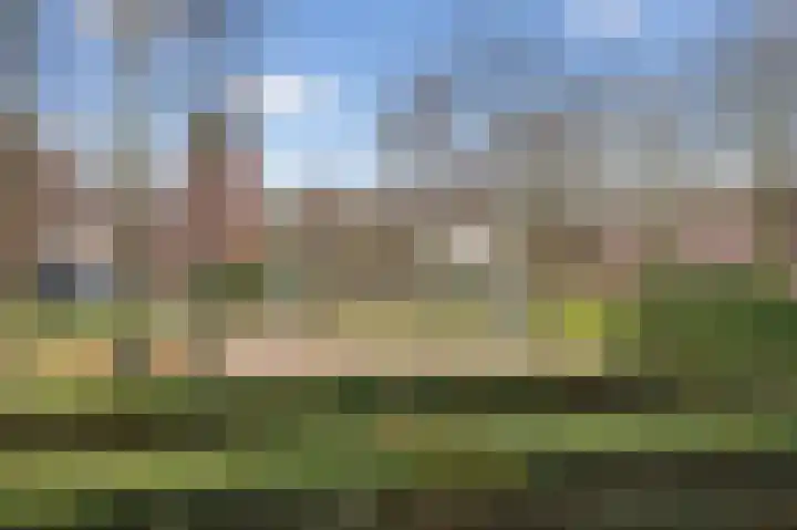 Bogortuin 52 Amsterdam thumbnail 51