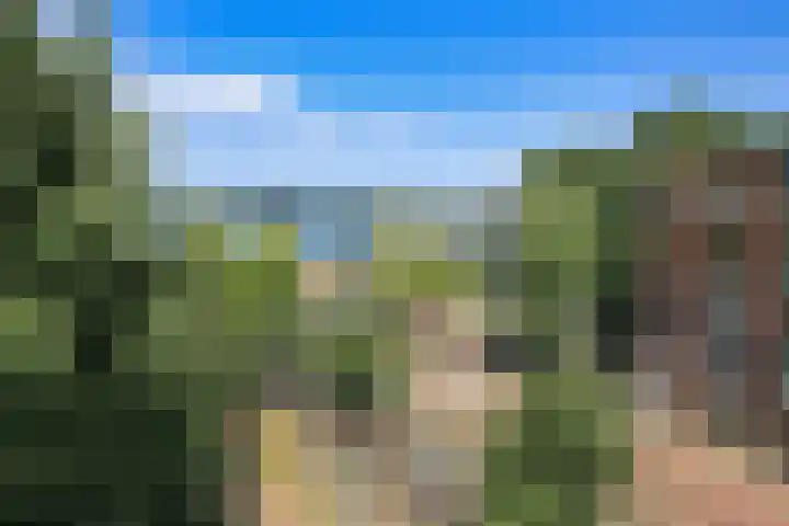 Bogortuin 55 Amsterdam thumbnail 37