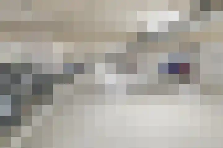 Bogortuin 55 Amsterdam thumbnail 45