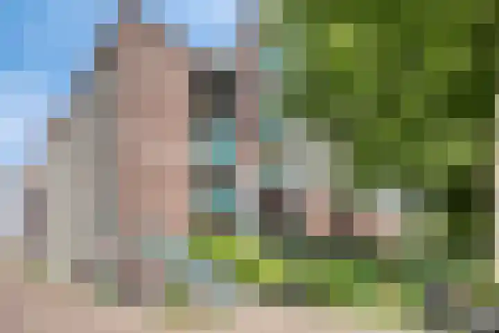 Bogortuin 74 in Amsterdam