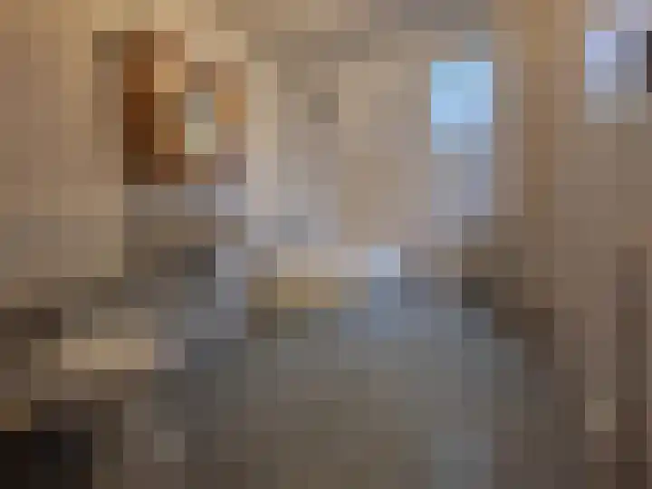 Bogotalaan 4 Delft thumbnail 13