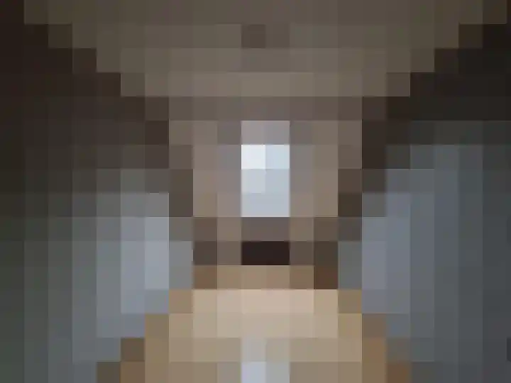 Bogotalaan 4 Delft thumbnail 15