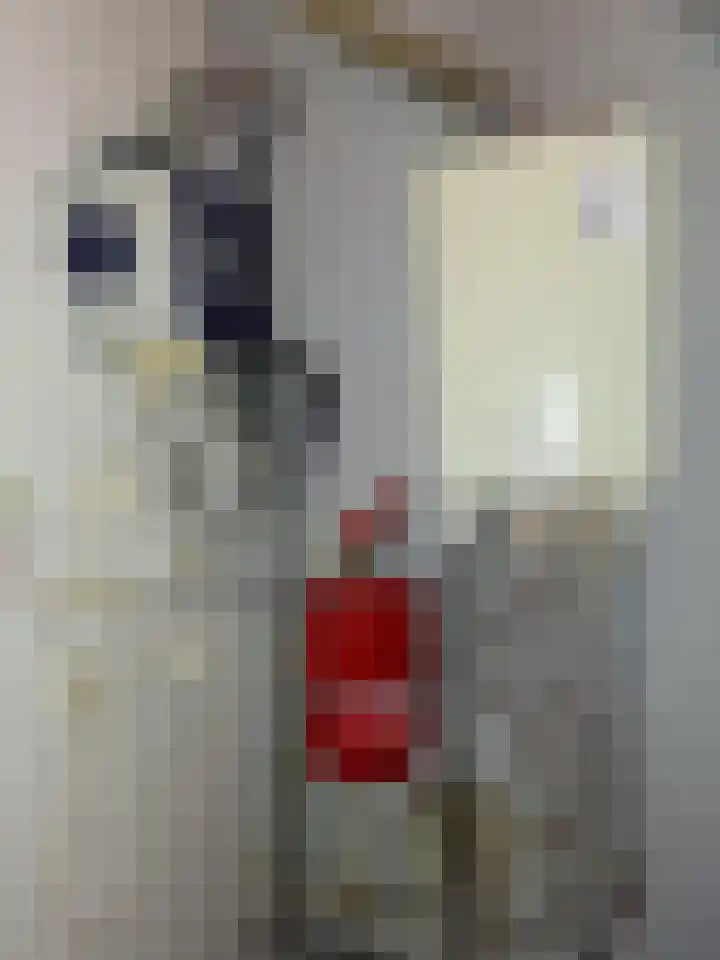 Bogotalaan 4 Delft thumbnail 20
