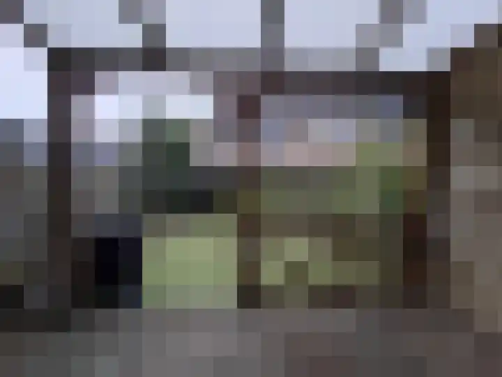 Bogotalaan 4 Delft thumbnail 22