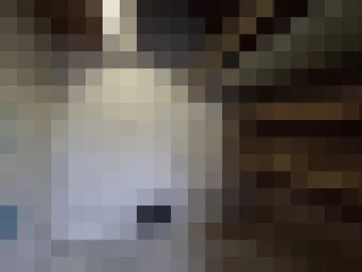 Bogotalaan 4 Delft thumbnail 24