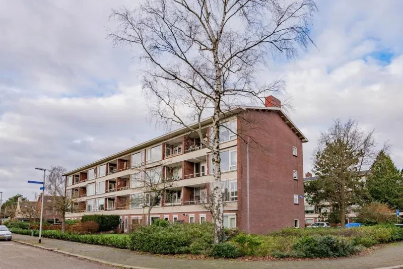 Office photo of Böhne Makelaars