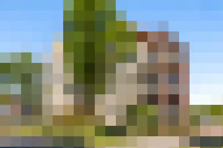 Screenshot of the website of www.bohnemakelaars.nl