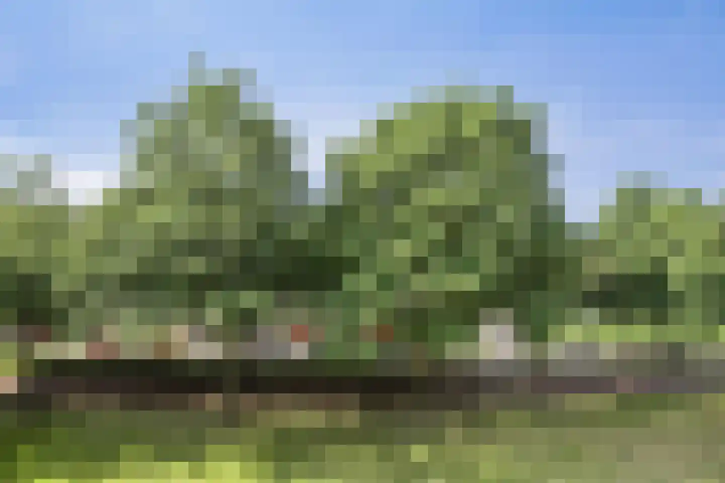 Boksdoornerf 46 Tilburg thumbnail 24