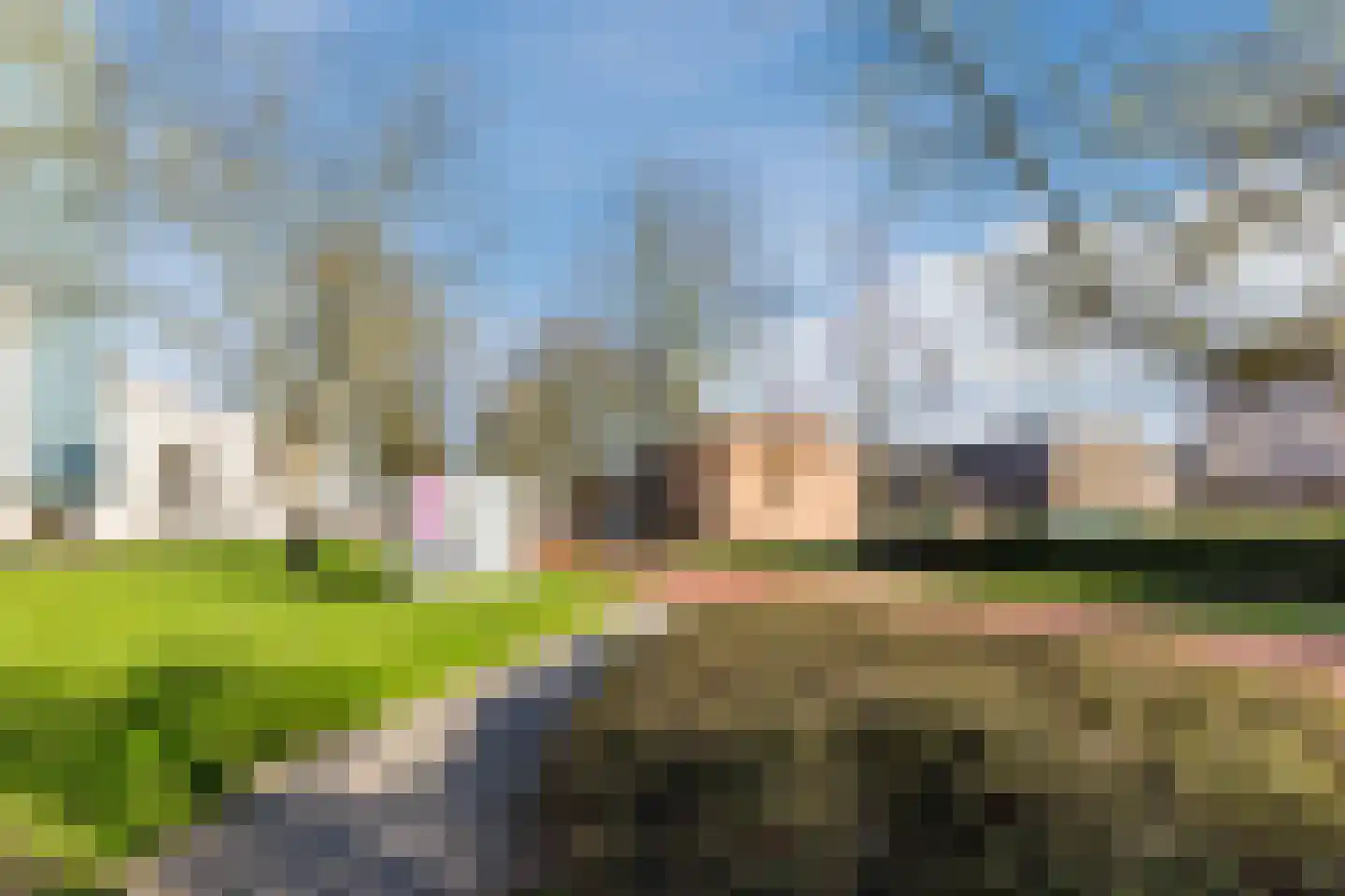 Boksdoornerf 98 Tilburg thumbnail 10