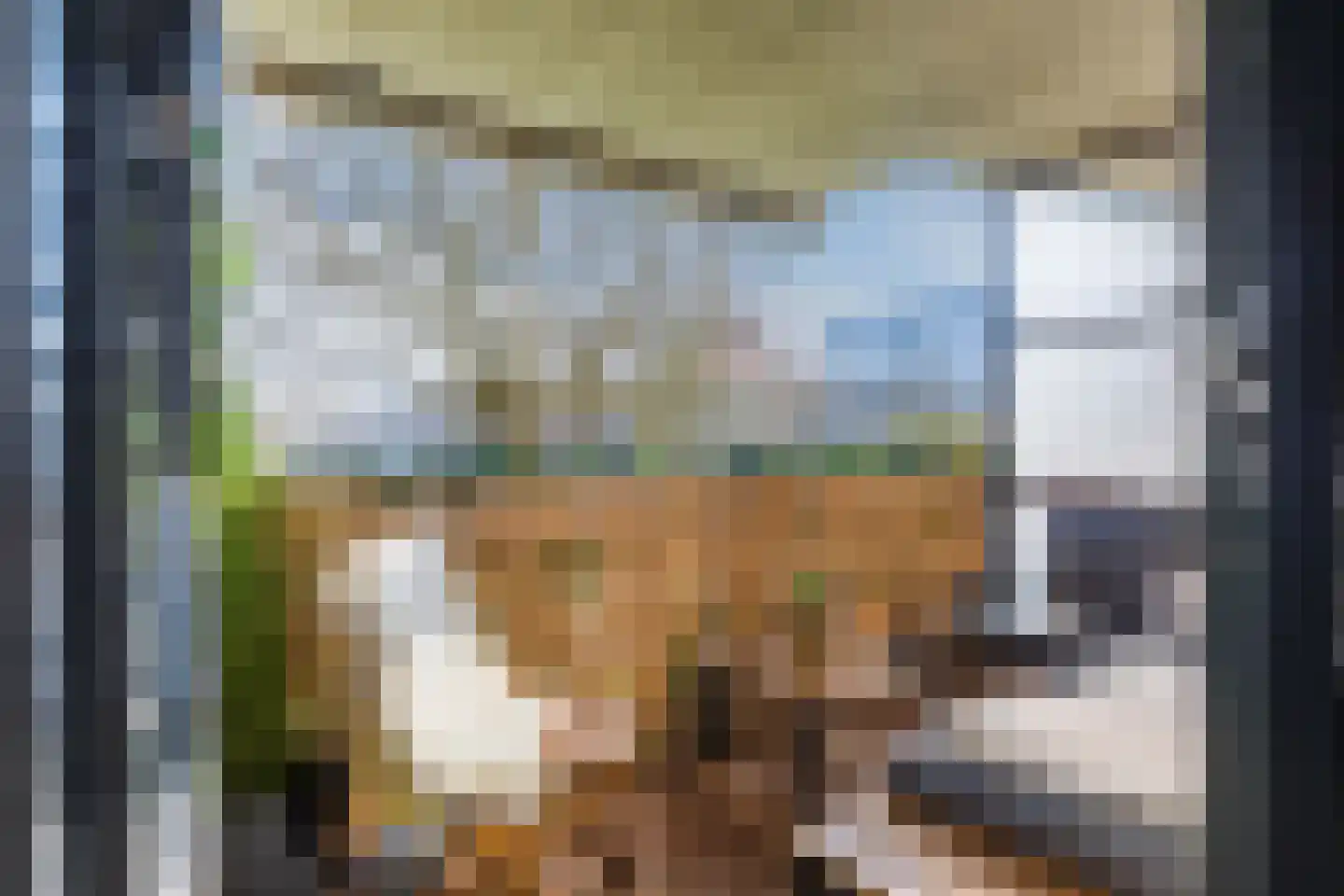Boksdoornerf 98 Tilburg thumbnail 8