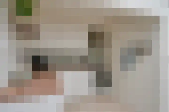 Bokstraat 53 Utrecht thumbnail 17