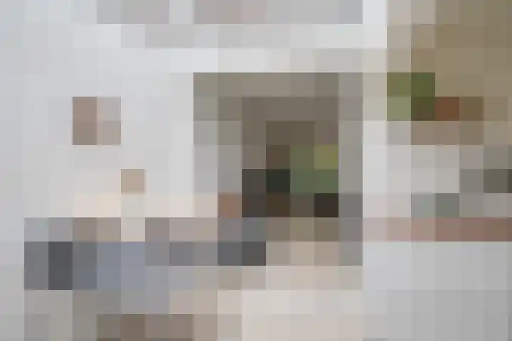 Bokstraat 53 Utrecht thumbnail 20