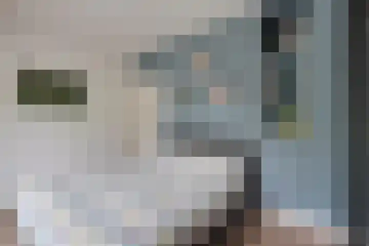 Bokstraat 53 Utrecht thumbnail 32
