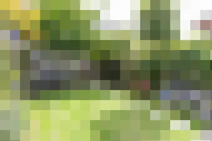 Bolder 7 Medemblik thumbnail 16