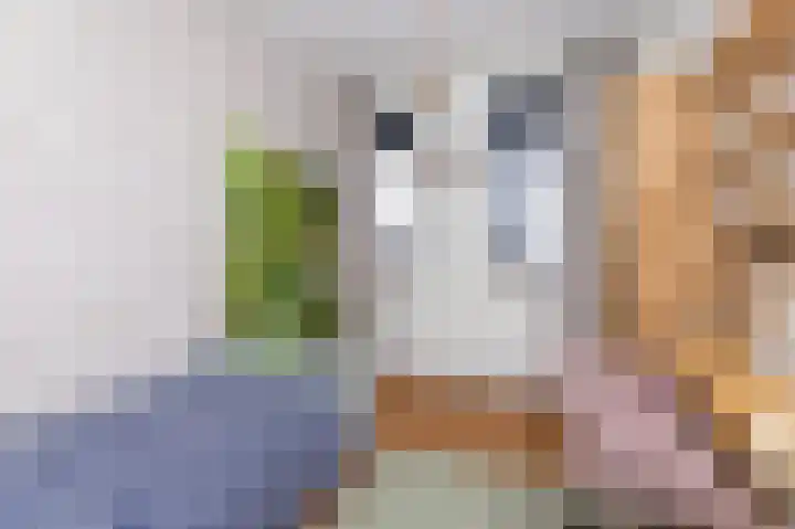 Bolder 7 Medemblik thumbnail 22