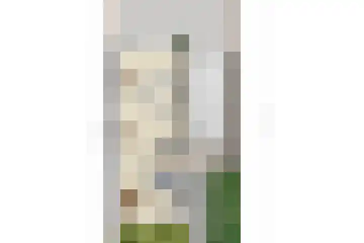 Bolder 7 Medemblik thumbnail 27