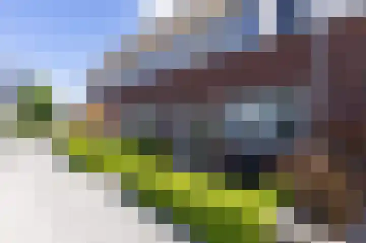 Bolder 7 Medemblik thumbnail 42