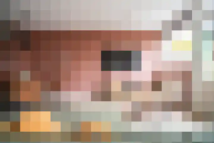 Bolderikkamp 39 Leiderdorp thumbnail 10