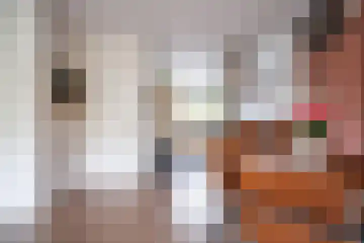 Bolderikkamp 39 Leiderdorp thumbnail 11