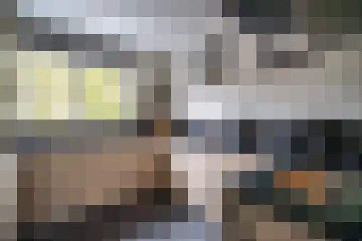 Bolderikkamp 39 Leiderdorp thumbnail 12