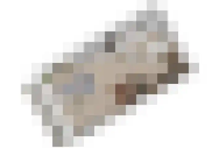 Bolderikkamp 39 Leiderdorp thumbnail 32