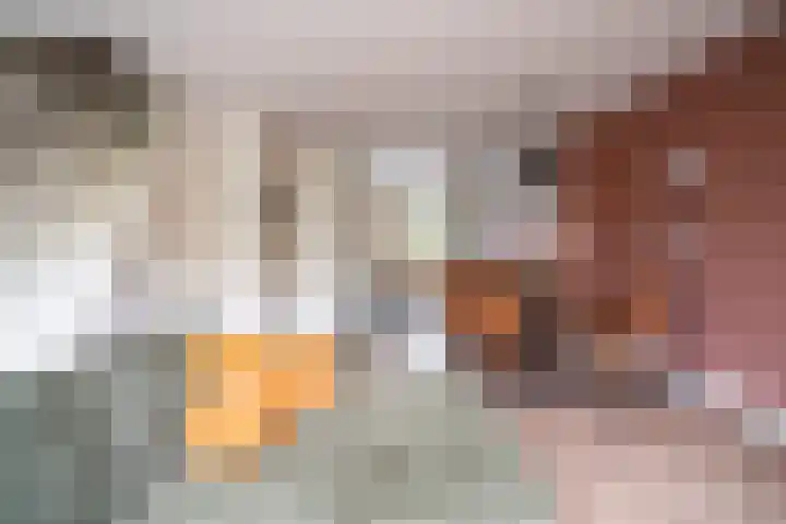 Bolderikkamp 39 Leiderdorp thumbnail 5