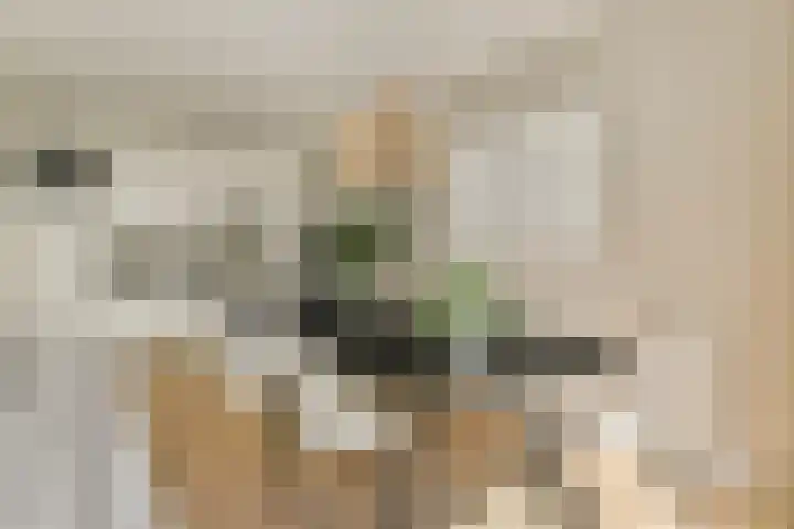 Bolderikkamp 55 Leiderdorp thumbnail 10