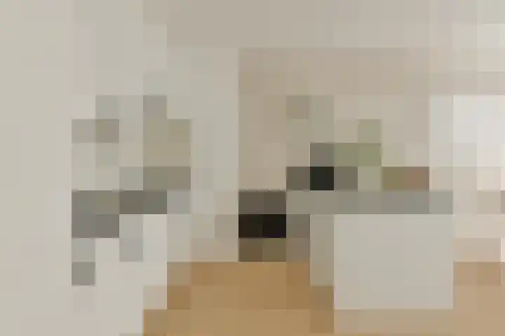 Bolderikkamp 55 Leiderdorp thumbnail 12