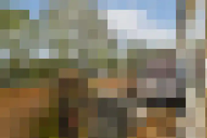 Bolderikkamp 55 Leiderdorp thumbnail 13