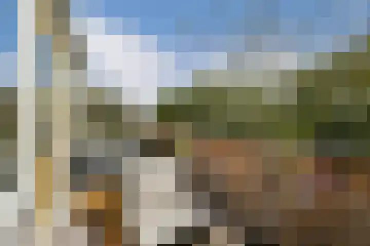 Bolderikkamp 55 Leiderdorp thumbnail 14