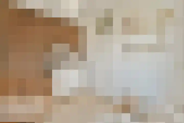 Bolderikkamp 55 Leiderdorp thumbnail 15