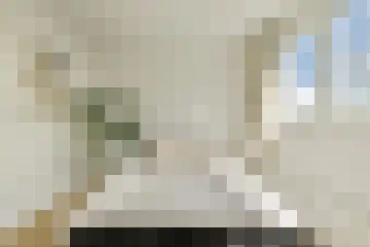 Bolderikkamp 55 Leiderdorp thumbnail 19