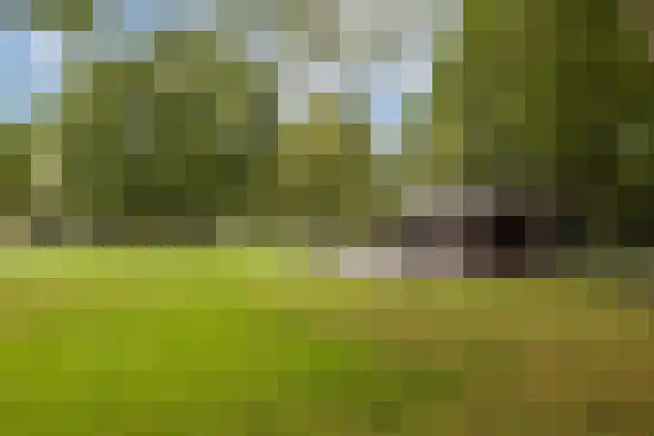 Bolderikkamp 55 Leiderdorp thumbnail 24