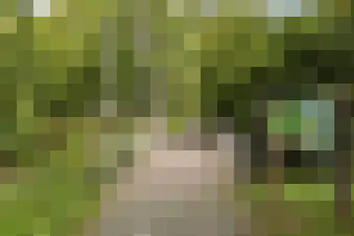 Bolderikkamp 55 Leiderdorp thumbnail 25