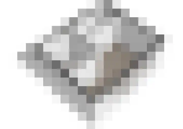 Bolderikkamp 55 Leiderdorp thumbnail 31