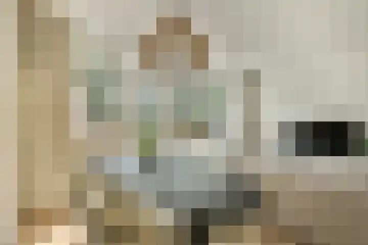 Bolderikkamp 55 Leiderdorp thumbnail 6