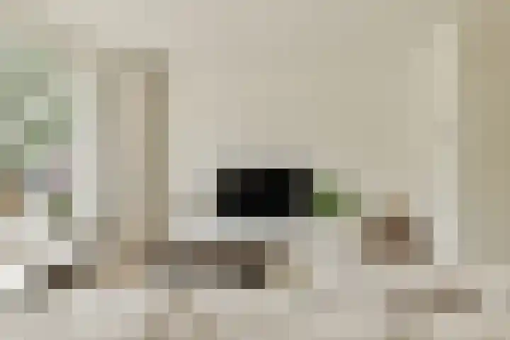 Bolderikkamp 55 Leiderdorp thumbnail 7